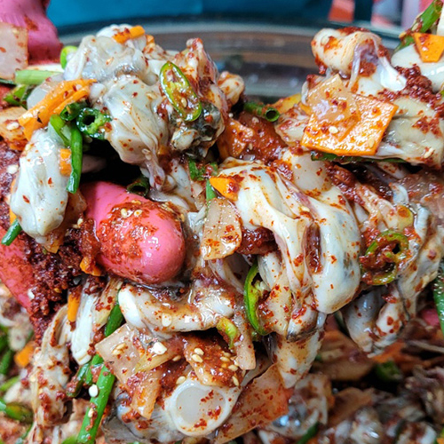 30년 전통 통영 산지 직송 생굴무침
